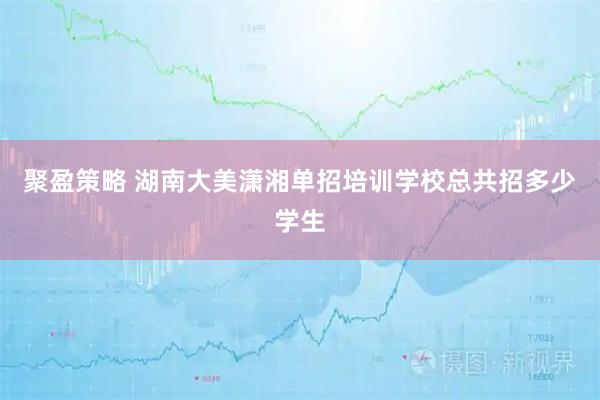 聚盈策略 湖南大美潇湘单招培训学校总共招多少学生