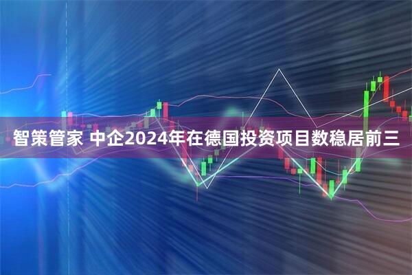 智策管家 中企2024年在德国投资项目数稳居前三